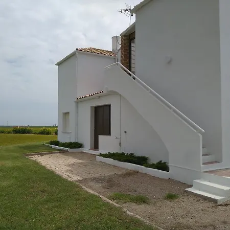 Masia Senar * L'Eucaliptus